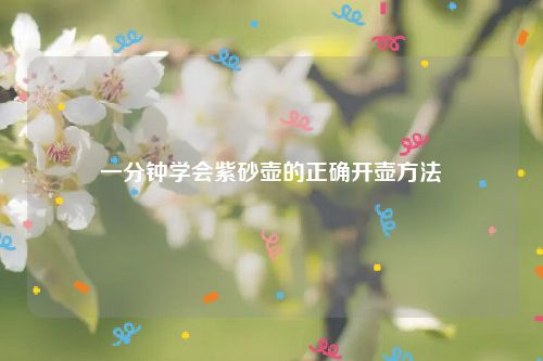 一分钟学会紫砂壶的正确开壶方法