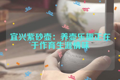 宜兴紫砂壶：养壶乐趣正在于作育生涯情味