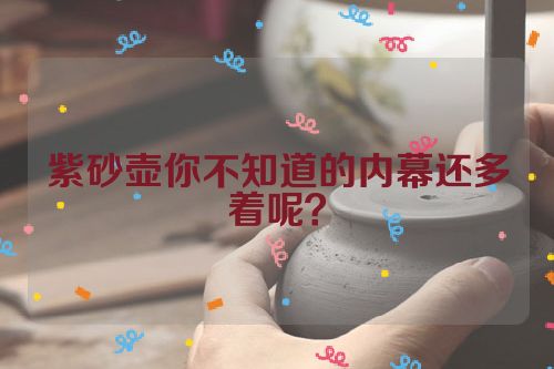 紫砂壶你不知道的内幕还多着呢？