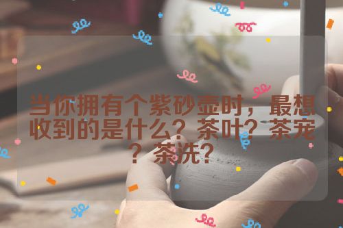 当你拥有个紫砂壶时，最想收到的是什么？茶叶？茶宠？茶洗？